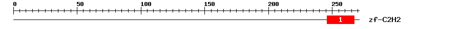 Signature Domain