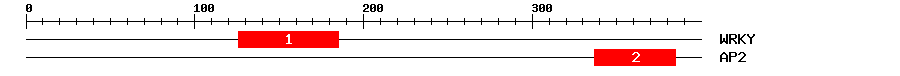 Signature Domain