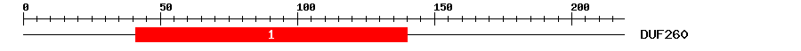 Signature Domain