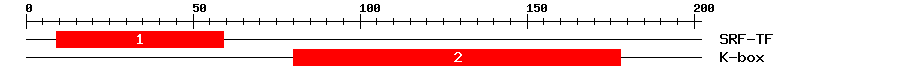 Signature Domain