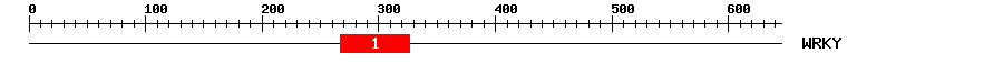 Signature Domain