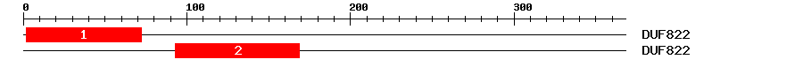 Signature Domain
