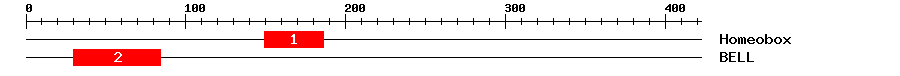 Signature Domain