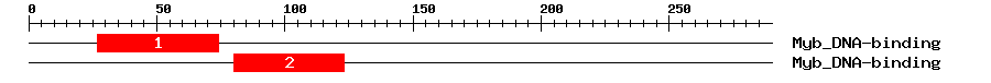 Signature Domain