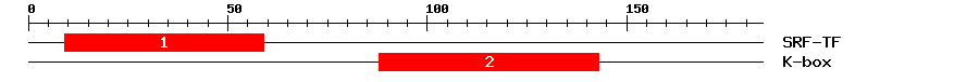 Signature Domain