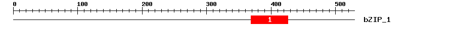 Signature Domain