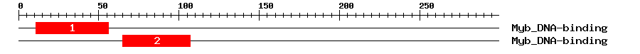 Signature Domain