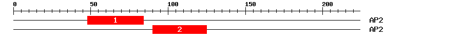 Signature Domain