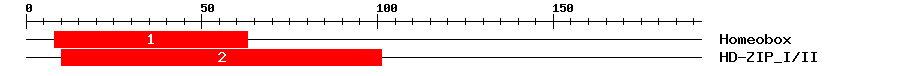 Signature Domain
