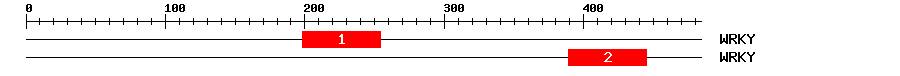 Signature Domain