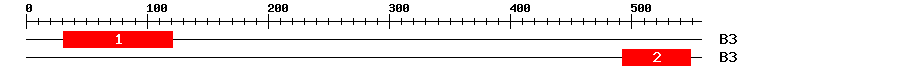 Signature Domain