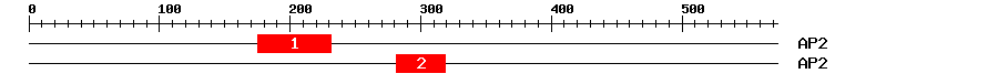 Signature Domain
