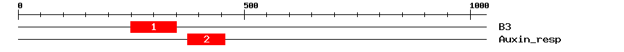 Signature Domain