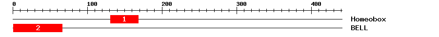 Signature Domain