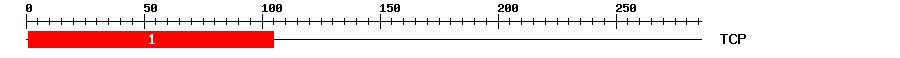 Signature Domain