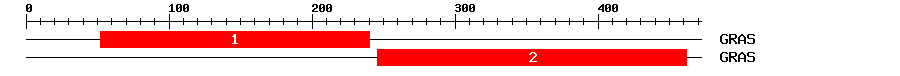 Signature Domain