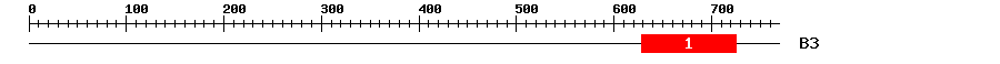 Signature Domain