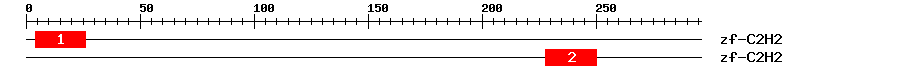 Signature Domain