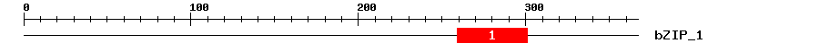 Signature Domain