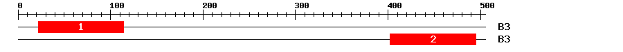 Signature Domain