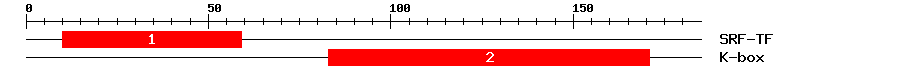 Signature Domain