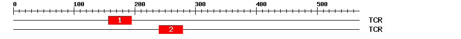 Signature Domain