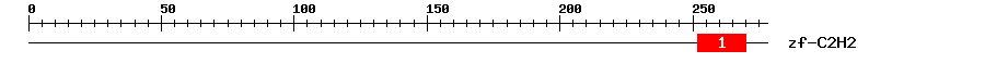 Signature Domain