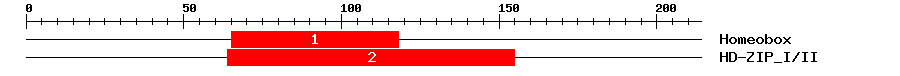 Signature Domain