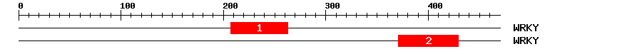 Signature Domain
