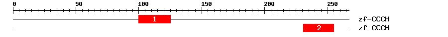 Signature Domain
