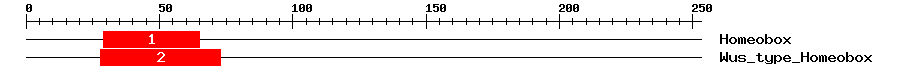 Signature Domain