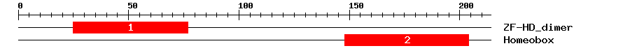 Signature Domain