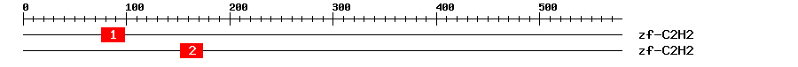 Signature Domain