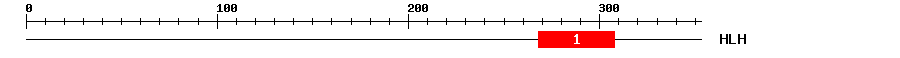 Signature Domain