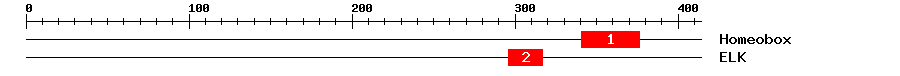 Signature Domain