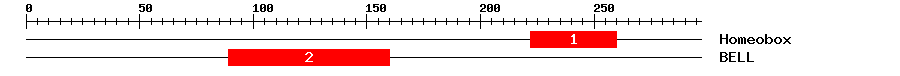 Signature Domain