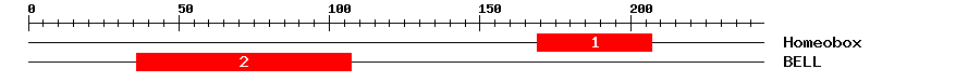 Signature Domain