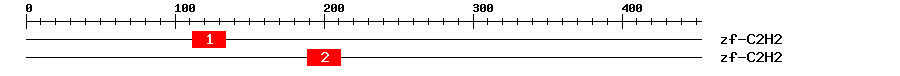 Signature Domain