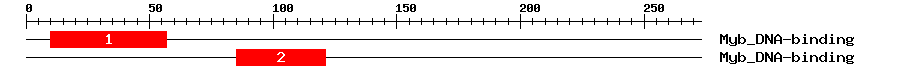 Signature Domain