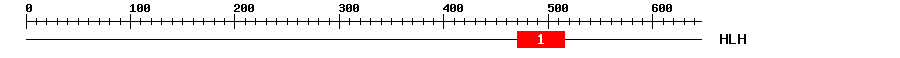 Signature Domain