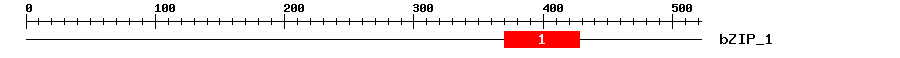 Signature Domain