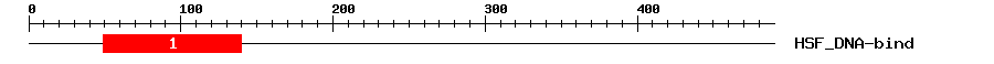 Signature Domain
