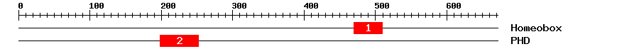 Signature Domain