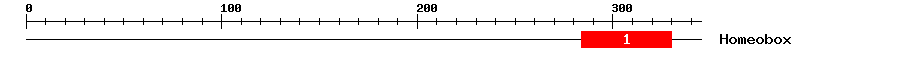 Signature Domain