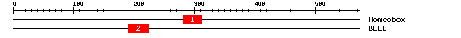 Signature Domain