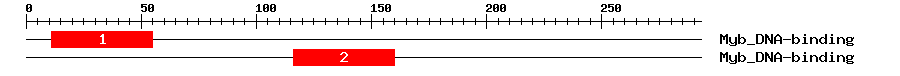 Signature Domain