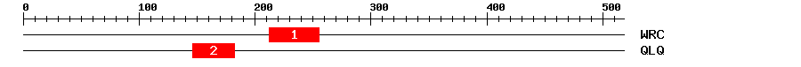 Signature Domain