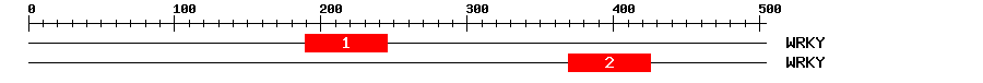 Signature Domain
