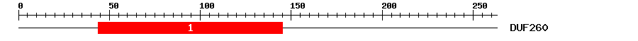 Signature Domain