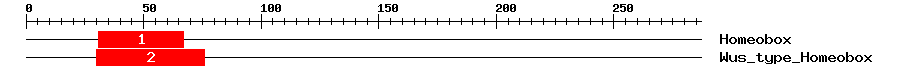 Signature Domain